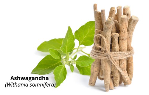 Ashwagandha